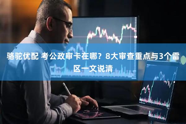 骆驼优配 考公政审卡在哪？8大审查重点与3个雷区一文说清