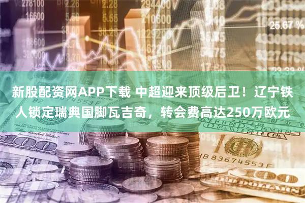 新股配资网APP下载 中超迎来顶级后卫！辽宁铁人锁定瑞典国脚瓦吉奇，转会费高达250万欧元